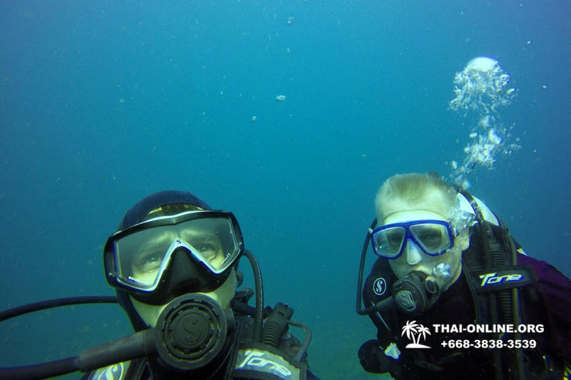 Diving for experienced divers in Pattaya Thailand photo 26