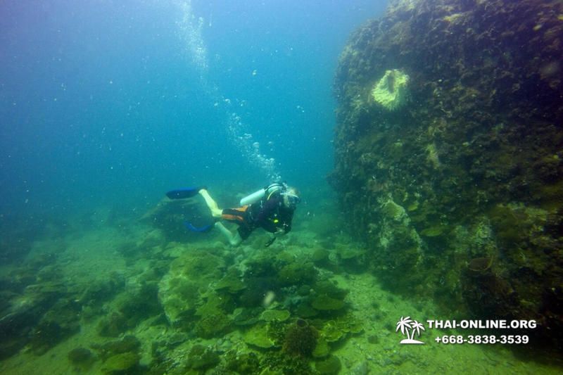 Scuba Diving in Pattaya Thailand photo 43