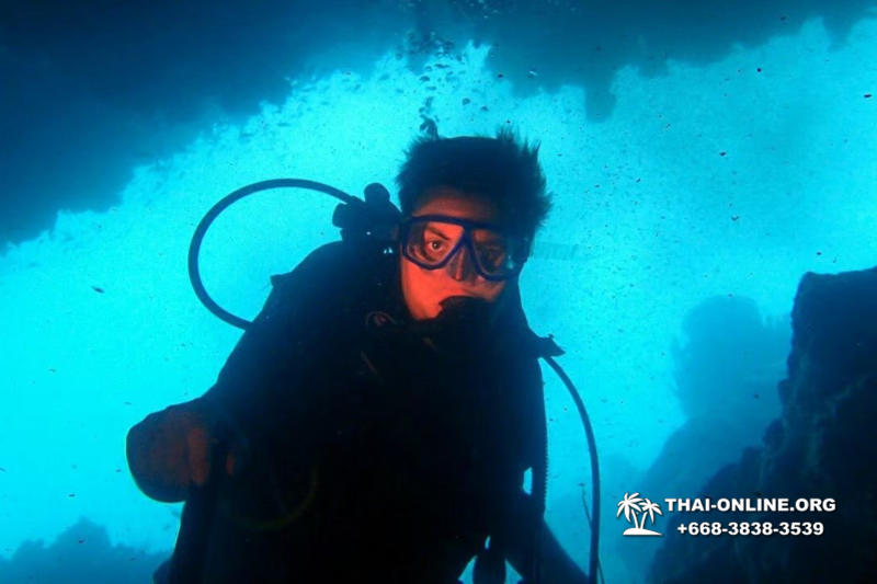 Diving for experienced divers in Pattaya Thailand photo 36