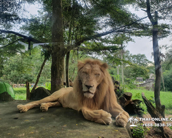 Discovery Chonburi, Si Racha Skywalk, Grand Canyon excursion photo 67