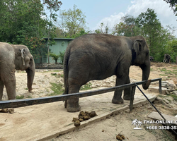 Discovery Chonburi, Si Racha Skywalk, Grand Canyon excursion photo 68