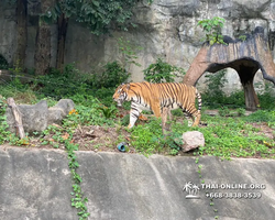 Discovery Pattaya, Si Racha Skywalk, Grand Canyon excursion photo 100