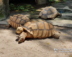 Discovery Chonburi, Si Racha Skywalk, Grand Canyon excursion photo 66