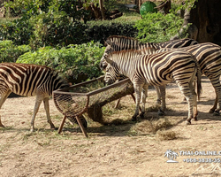 Discovery Chonburi, Si Racha Skywalk, Grand Canyon excursion photo 76