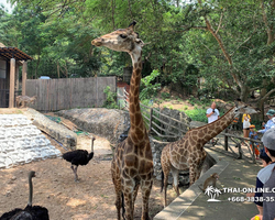 Discovery Chonburi, Si Racha Skywalk, Grand Canyon excursion photo 64