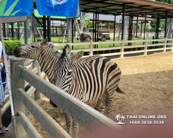 Discovery Pattaya, Si Racha Skywalk, Grand Canyon excursion photo 114