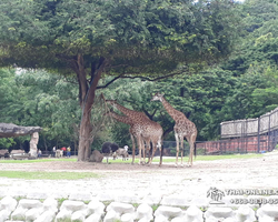 Discovery Chonburi, Si Racha Skywalk, Grand Canyon excursion photo 75