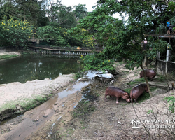 Discovery Chonburi, Si Racha Skywalk, Grand Canyon excursion photo 72