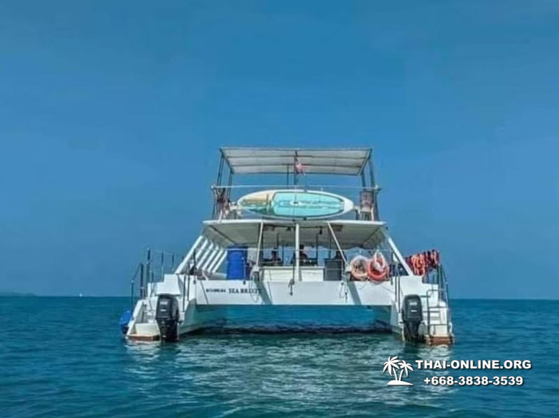 Cruise on Sea Breeze catamaran from Pattaya to Koh Phai - photo 44