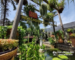 Legend of Siam and Marijuana Farm, Nong Nooch guided tour photo 65