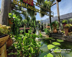 Legend of Siam and Marijuana Farm, Nong Nooch guided tour photo 81