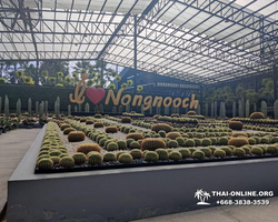 Legend of Siam and Marijuana Farm, Nong Nooch guided tour photo 122