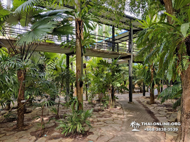 Nong Nooch Tropical Garden, Legend of Siam and Marijuana Farm excursion in Pattaya Thailand photo 18
