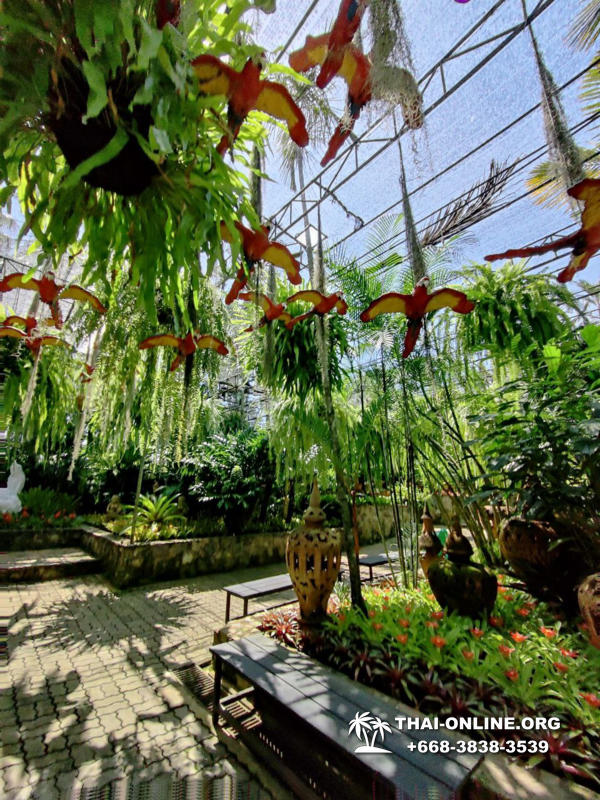 Nong Nooch Tropical Garden, Legend of Siam and Marijuana Farm excursion in Pattaya Thailand photo 8