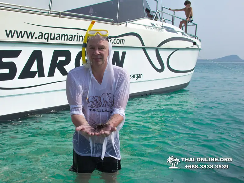 Aquamarine snorkeling and fishing tour in Pattaya Thailand - photo 192