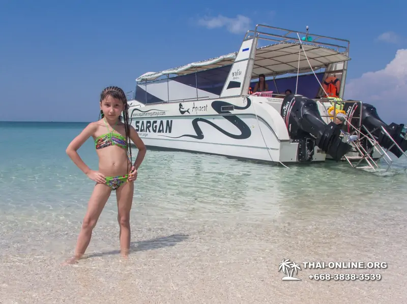 Aquamarine snorkeling and fishing tour in Pattaya Thailand - photo 408