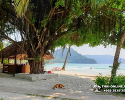 Trip Pattaya to Koh Kood, live at Klong Hin Beach Resort - photo 111