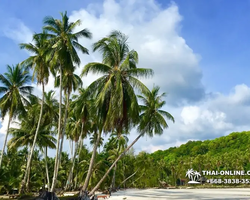 Trip Pattaya to Koh Kood, live at Klong Hin Beach Resort - photo 102