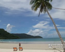 Trip Pattaya to Koh Kood, live at Klong Hin Beach Resort - photo 327