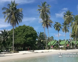 Trip Pattaya to Koh Kood, live at Klong Hin Beach Resort - photo 196