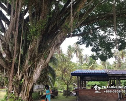 Trip Pattaya to Koh Kood, live at Klong Hin Beach Resort - photo 10