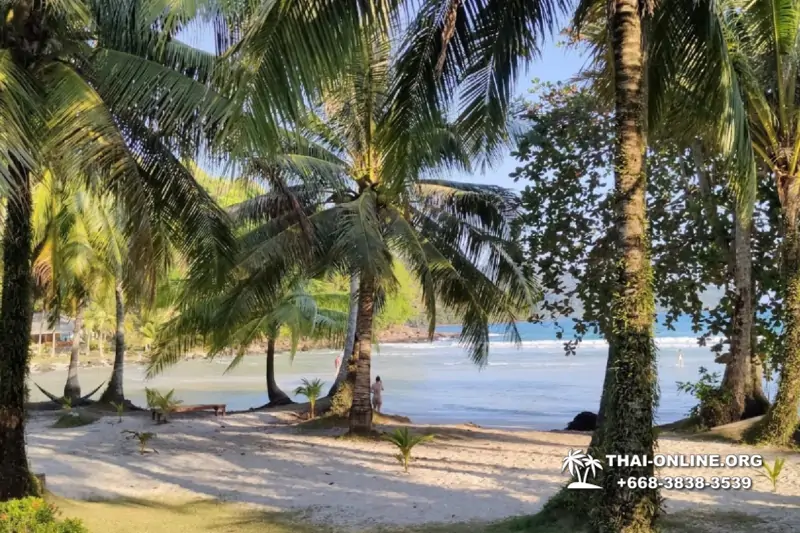 Trip Pattaya to Koh Kood, live at Klong Hin Beach Resort - photo 103