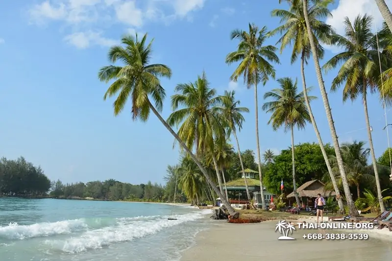 Trip Pattaya to Koh Kood, live at Klong Hin Beach Resort - photo 389