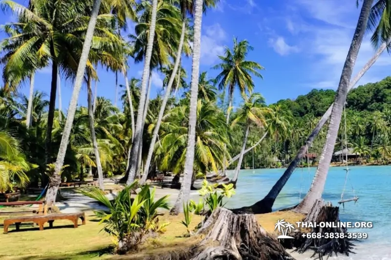 Trip Pattaya to Koh Kood, live at Klong Hin Beach Resort - photo 171