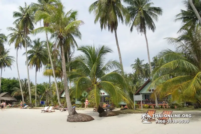Trip Pattaya to Koh Kood, live at Klong Hin Beach Resort - photo 352