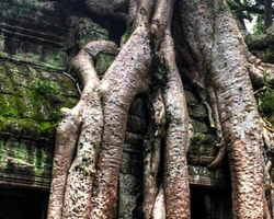 Tour to Angkor Temples Cambodia from Pattaya Thailand trip photo 17