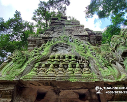 Tour to Angkor Temples Cambodia from Pattaya Thailand trip photo 65