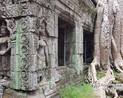 Tour to Angkor Temples Cambodia from Pattaya Thailand trip photo 67