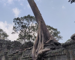 Tour to Angkor Temples Cambodia from Pattaya Thailand trip photo 15