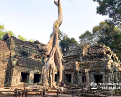 Tour to Angkor Temples Cambodia from Pattaya Thailand trip photo 69