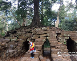 Tour to Angkor Temples Cambodia from Pattaya Thailand trip photo 44