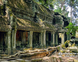 Tour to Angkor Temples Cambodia from Pattaya Thailand trip photo 61