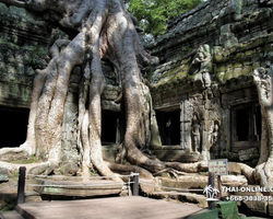 Tour to Angkor Temples Cambodia from Pattaya Thailand trip photo 68