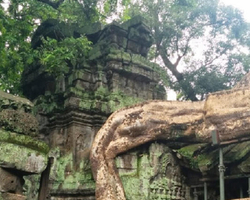 Tour to Angkor Temples Cambodia from Pattaya Thailand trip photo 23