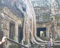 Tour to Angkor Temples Cambodia from Pattaya Thailand trip photo 71