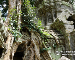 Tour to Angkor Temples Cambodia from Pattaya Thailand trip photo 63