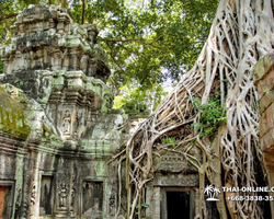 Tour to Angkor Temples Cambodia from Pattaya Thailand trip photo 59