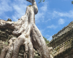 Tour to Angkor Temples Cambodia from Pattaya Thailand trip photo 21