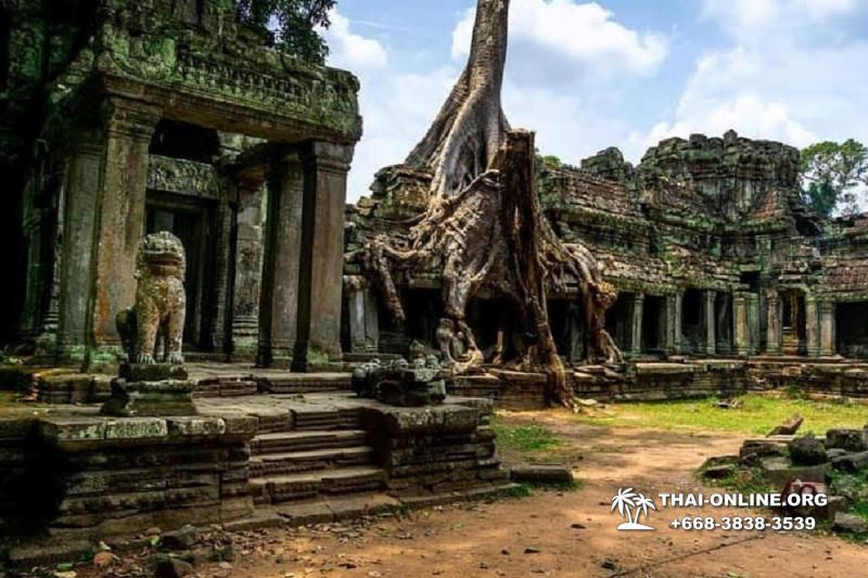 Cambodia tour from Pattaya Thailand to Siem Reap and Angkor Temples photo 49