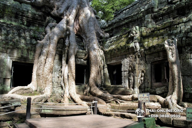 Cambodia tour from Pattaya Thailand to Siem Reap and Angkor Temples photo 42