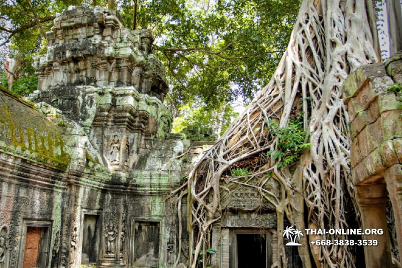 Cambodia tour from Pattaya Thailand to Siem Reap and Angkor Temples photo 32