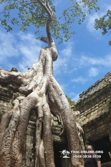 Tour to Angkor Temples Cambodia from Pattaya Thailand trip photo 21