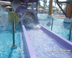 Columbia Pictures Aquaverse water park in Pattaya Thailand photo 165