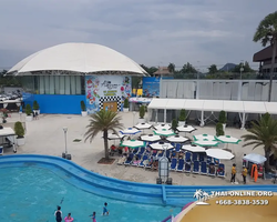 Columbia Pictures Aquaverse water park in Pattaya Thailand photo 240