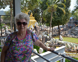 Travel to Nong Nooch Tropical Garden in Pattaya Thailand photo 103