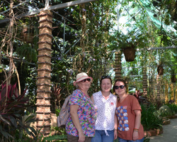 Travel to Nong Nooch Tropical Garden in Pattaya Thailand photo 9